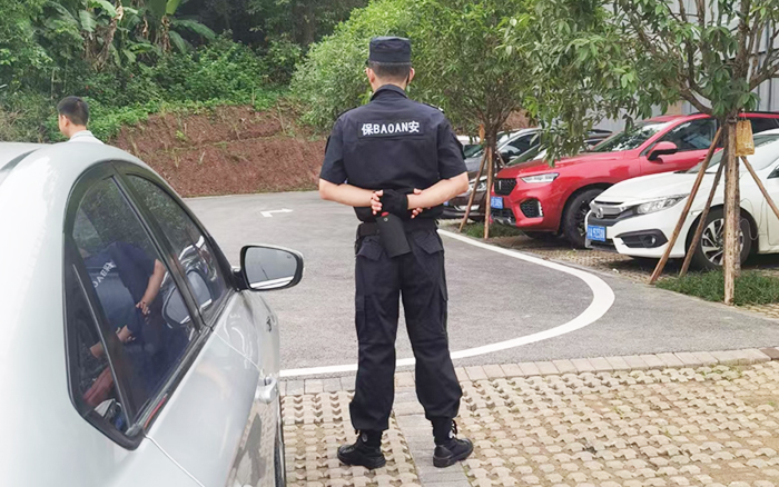 政府安保